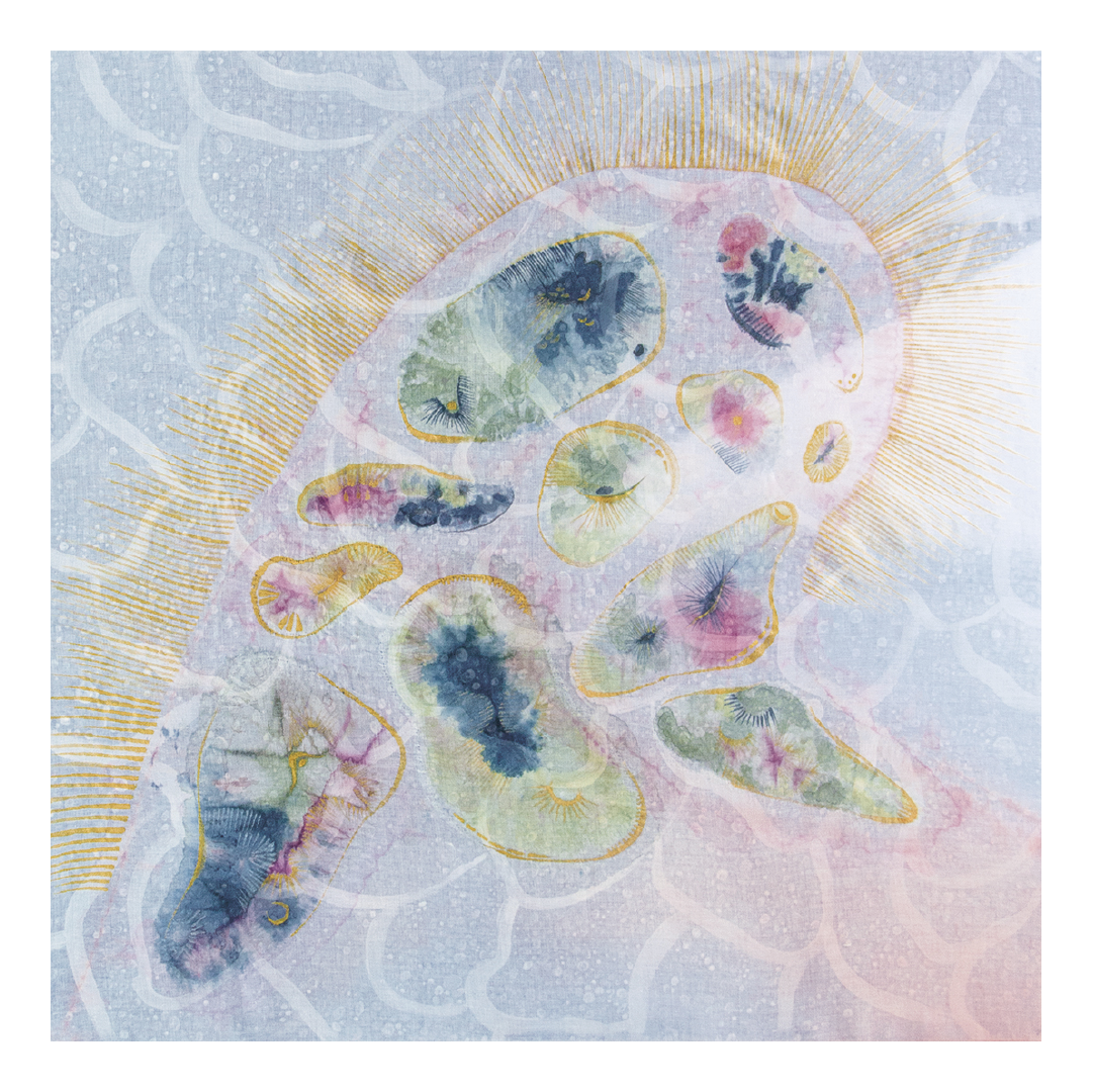 「夢」湊乃はと（波間文庫）2024