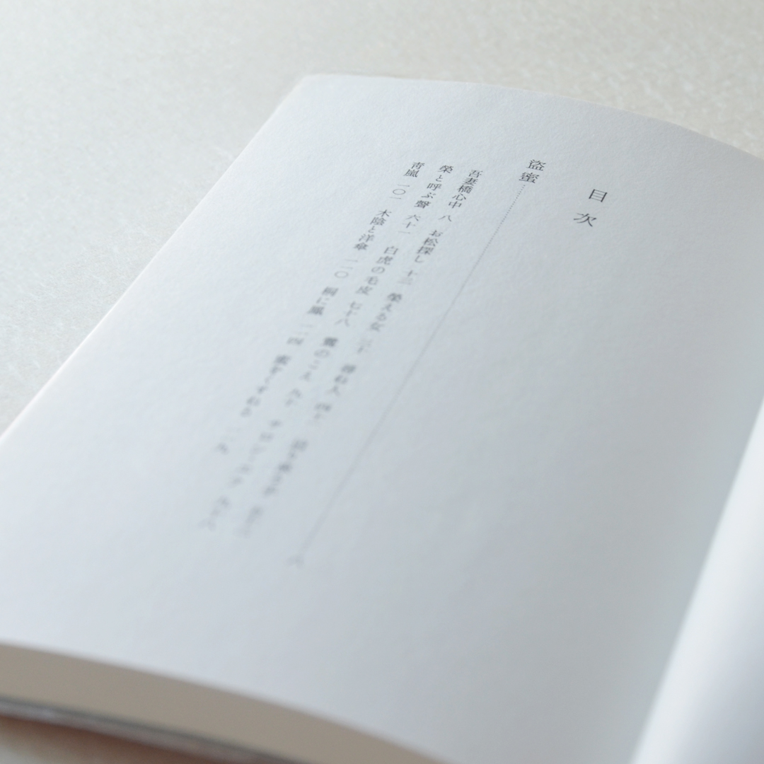 「盗蜜」湊乃はと（波間文庫）2024