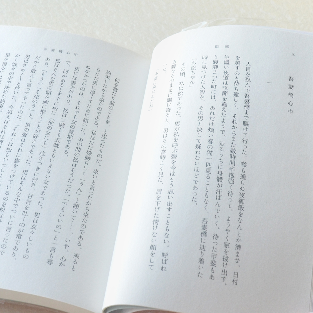 「盗蜜」湊乃はと（波間文庫）2024